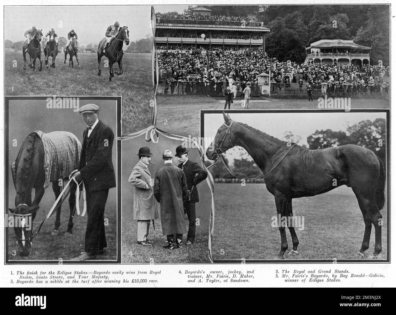 The British thoroughbred racehorse, Bayardo, wins the Eclipse Stakes at the Sandown Park meeting.     Date: 1909 Stock Photo