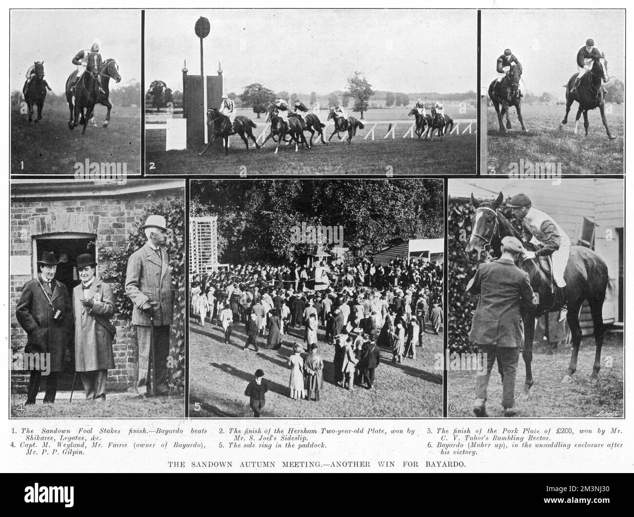The Sandown autumn meeting where the British thoroughbred racehorse, Bayardo, was victorious.     Date: 1909 Stock Photo