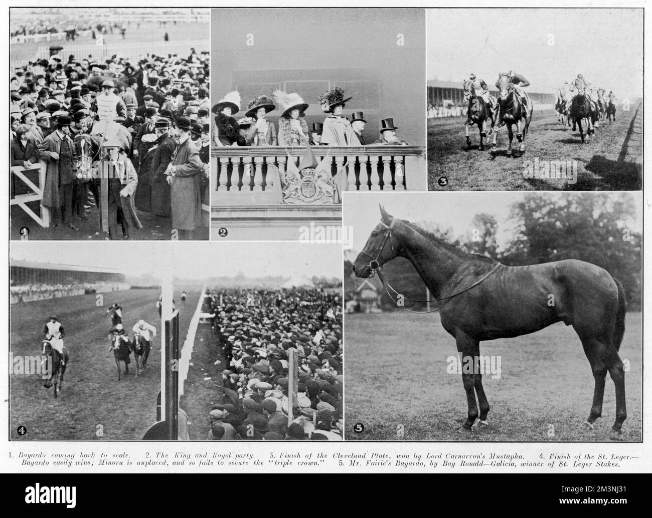 Five thoroughbred Black and White Stock Photos & Images Alamy