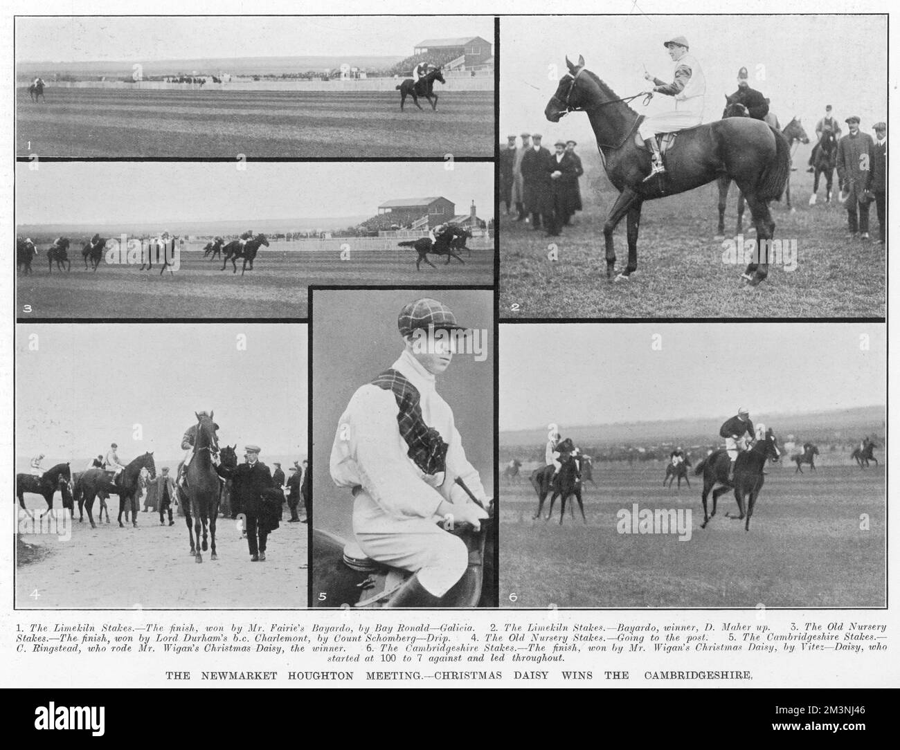Various horse races relating to the Newmarket Houghton meeting, including the Limekiln Stakes won by Mr Fairie's 'Bayardo', The Old Nursery Stakes won by 'Charlemont' and The Cambridgeshire Stakes won by 'Christmas Daisy'.     Date: 1909 Stock Photo