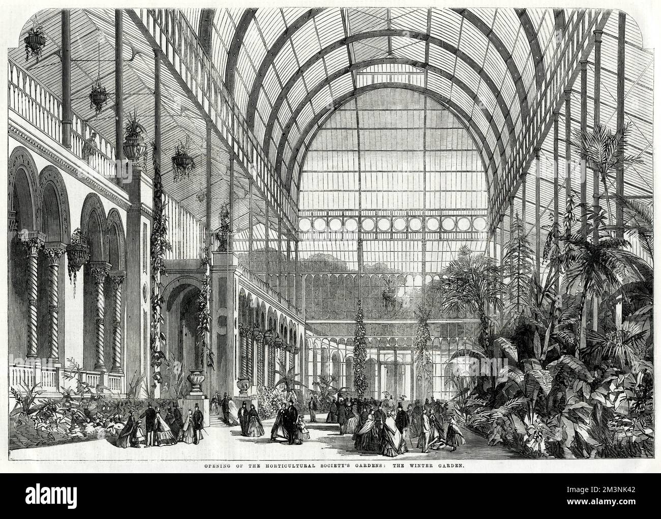 Opening of the Royal Horticultural Society's gardens at South Kensington, London : the winter garden or conservatory. The gardens were opened by Prince Albert, the last public event before his death. This was the first fruit and flower show and were based on land purchased out of the surplus funds of the Great Exhibition, and leased to the RHS. The garden was closed in 1882.  5th June 1861 Stock Photo