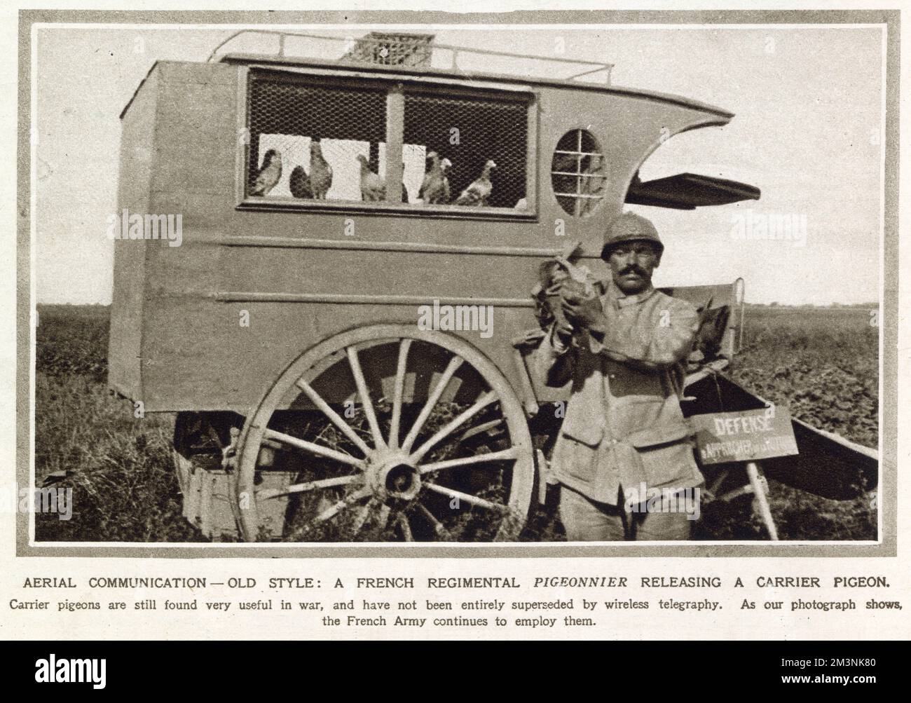 French regimental pigeonnier releasing a carrier pigeon. Pigeons were found useful in World War One to send messages and had not been entirely superseded by wireless telegraphy. Stock Photo