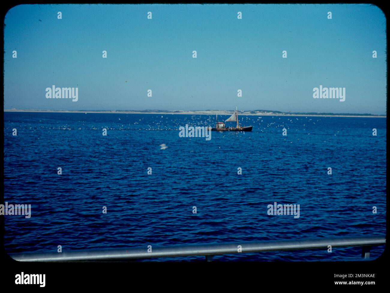 Provincetown Bay , Bays Bodies of water. Edmund L. Mitchell Collection
