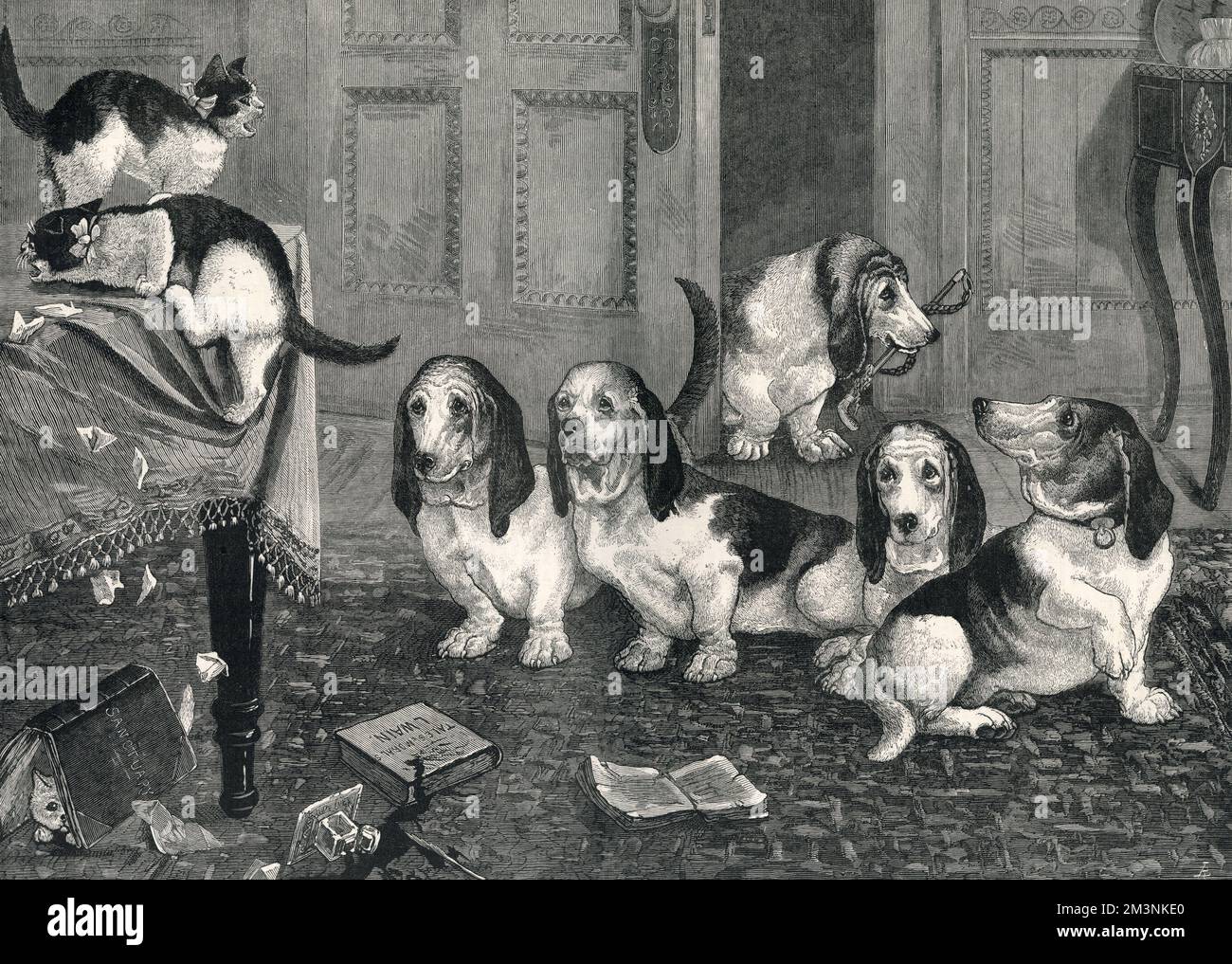 Engraving by Louis Wain showing four naughty basset hounds teasing two