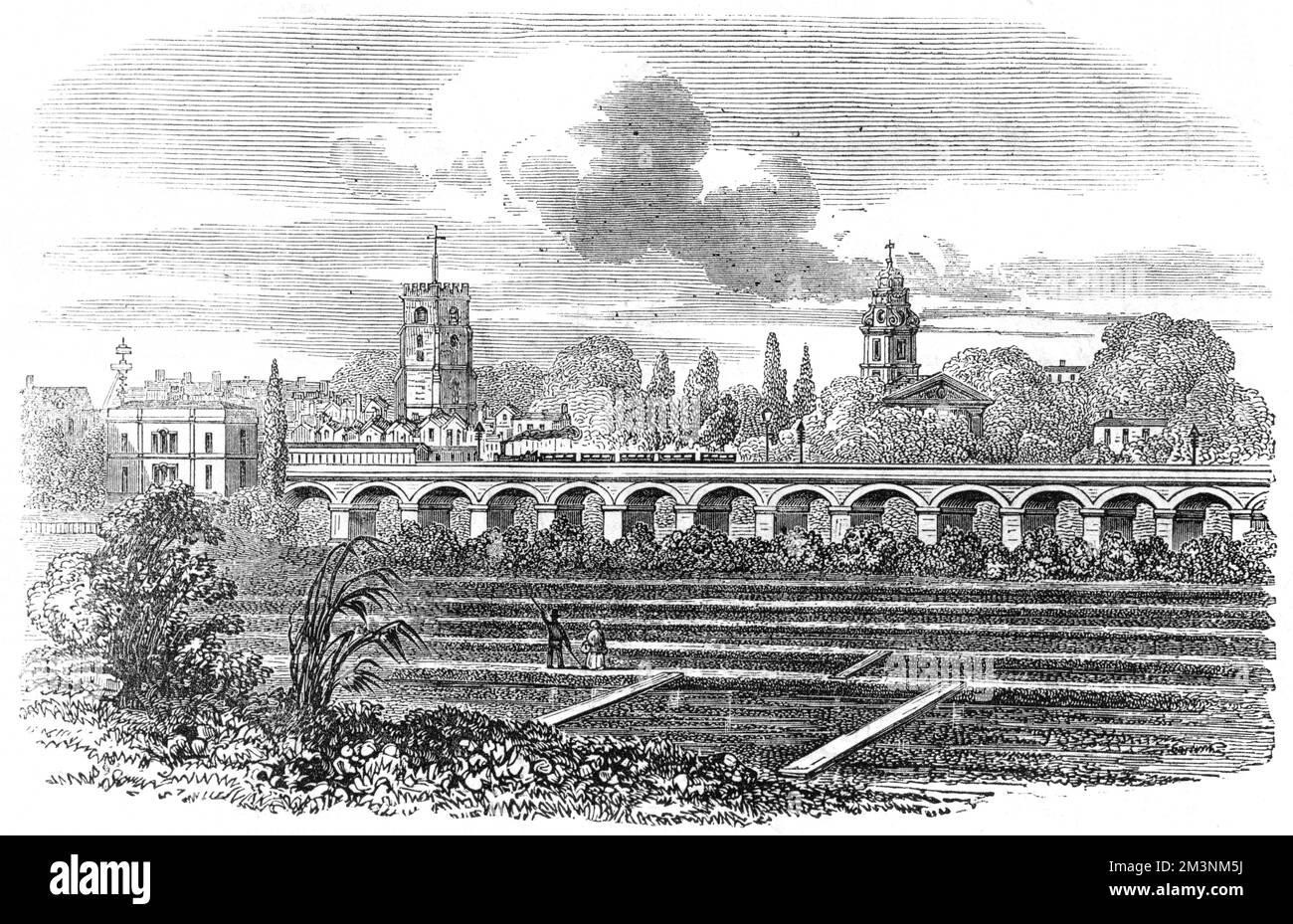 The Camden-town Railway at Hackney Station, with a watercress plantation alongside the track.  1851 Stock Photo