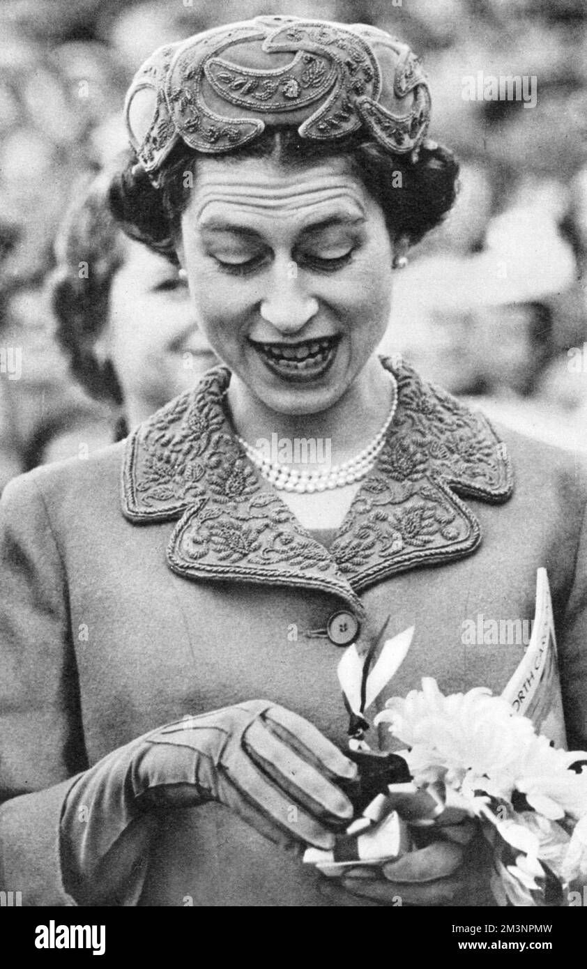 Queen Elizabeth II examines the chrysanthemum corsage which is essential wear  for all American women attending football matches. At this game between Maryland and North Carolina Univeristies, the Queen was also given the other traditional item for female fans- a woollen blanket to tuck round her legs.     Date: 1957 Stock Photo
