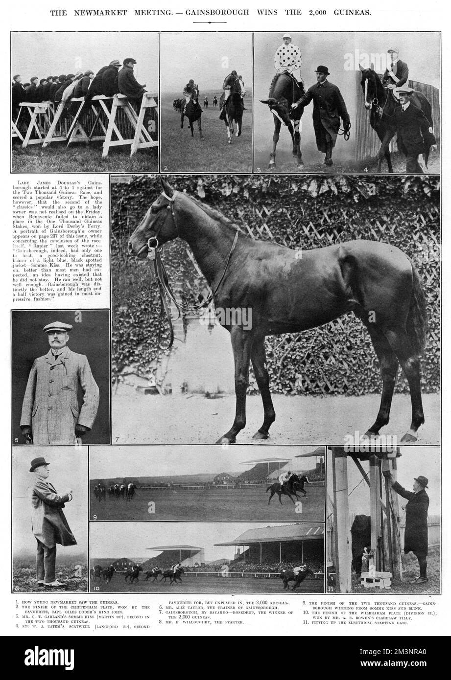 The British bred, thoroughbred racehorse 'Gainsborough', owned by Lady James Douglas won the English Triple Crown in 1918. This article celebrates the 2000 Guineas, the first of the three races one by Gainsborough. This win also marked the first time a horse bred by a woman won one of the British Classic Races.     Date: May 1918 Stock Photo