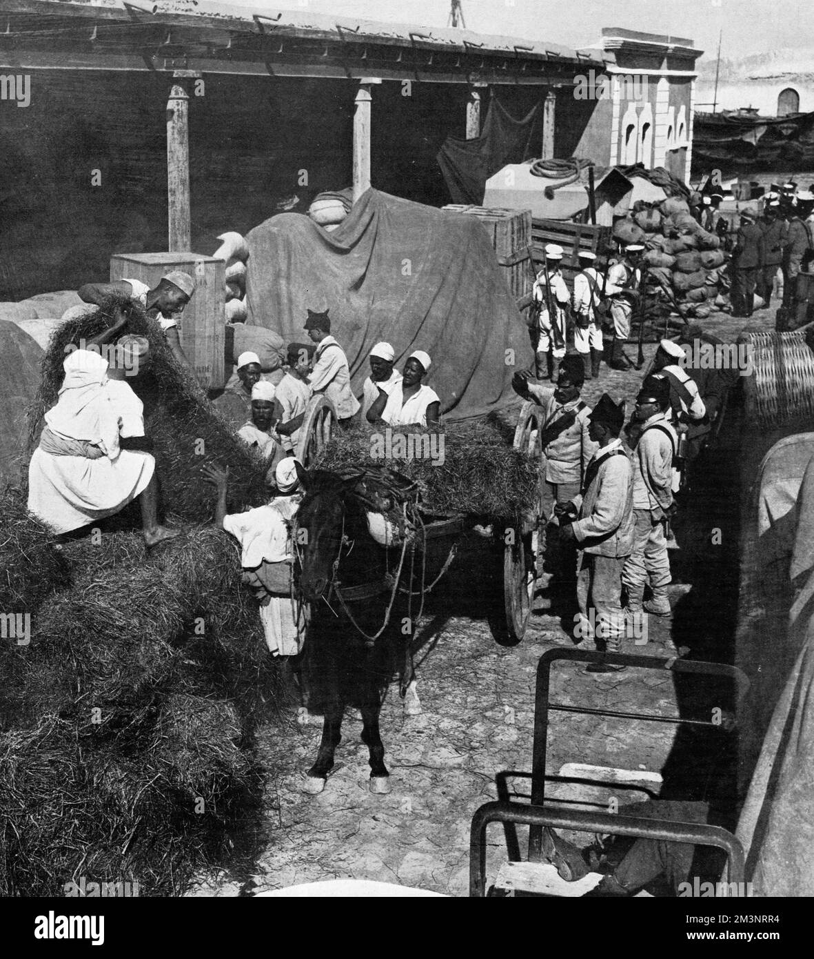 Turco-Italian War, 1911 - loading fodder for Italian troops Stock Photo