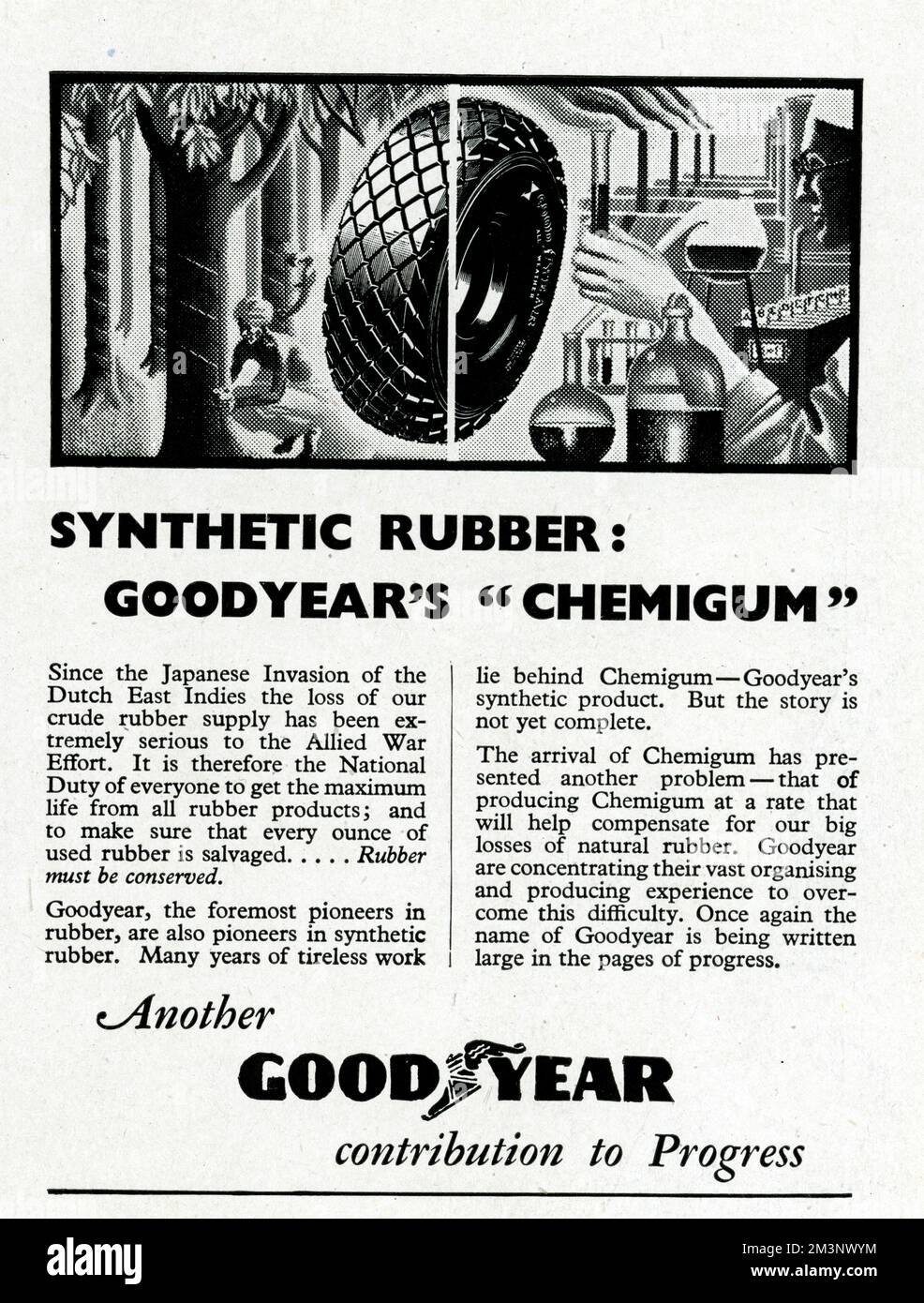 'Another Goodyear contribution to progress'.  Since the Japanese Invasion of the Dutch East Indies the loss of our crude rubber supply has been extremely serious to the Allied War Effort. It is therefore the National Duty of everyone to get the maximum life from all rubber products; and to make sure that every ounce of used rubber is salvaged . . . . . Rubber must be conserved.  Goodyear, the foremost pioneers in rubber, are also pioneers in synthetic rubber.  Many years of tireless work lie behind Chemigum - Goodyear's synthetic product.  But the story is not yet complete.  1942 Stock Photo