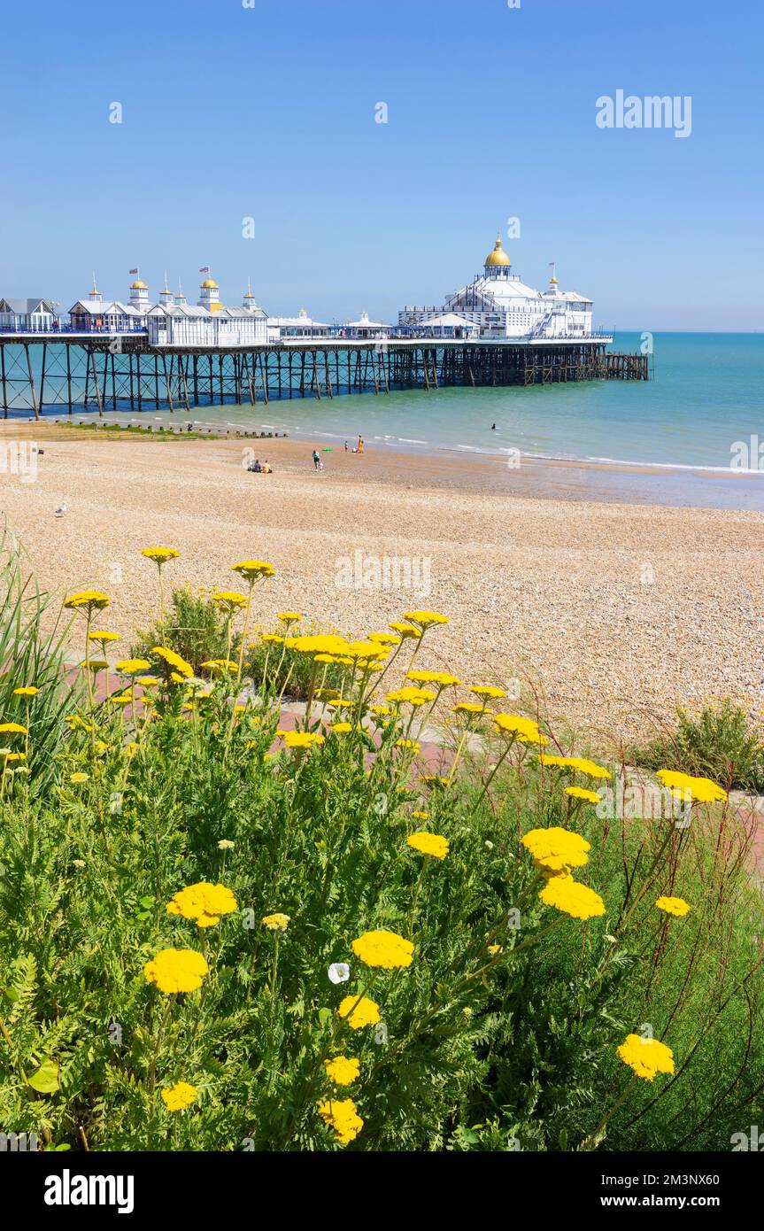 Eastbourne East Sussex Eastbourne beach and Eastbourne pier a few  people on the beach sunbathing Eastbourne beach Eastbourne East Sussex England UK Stock Photo