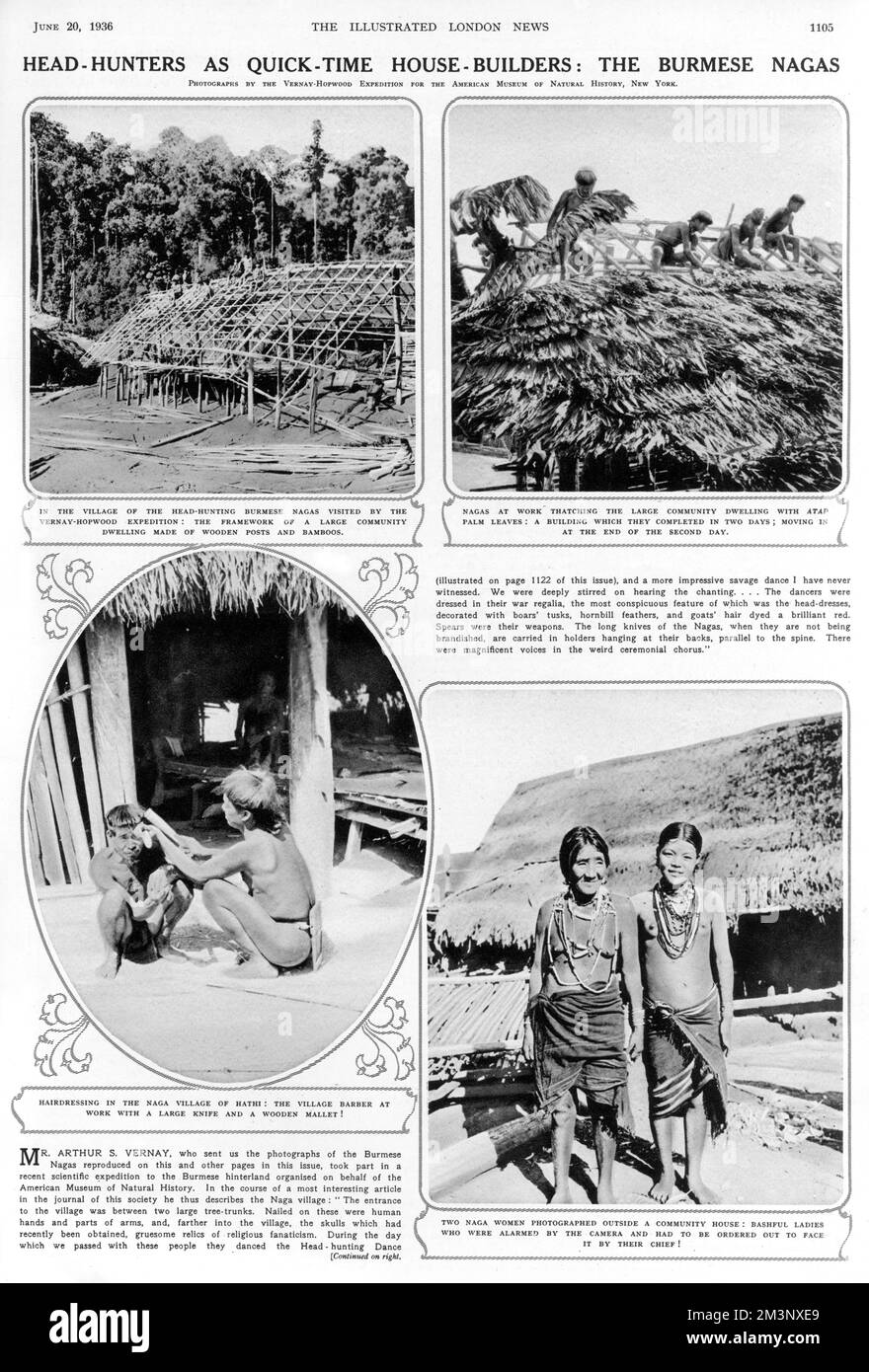 Mr A. S. Vernay visited a village of the head-hunting Burmese Nagas with the American Museum of Natural History expedition, taking the photographs that appear on this page which include, clockwise from top left: In the village of the head-hunting Burmese Nagas, the large framework of a large community dwelling made of wooden posts and bamboo; Nagas at work thatching the large community dwelling with atap palm leaves; Two Naga women photographed outside a community house- bashful ladies who were alarmed by the camera and had to be ordered out to face it by their chief;  and hairdressing in the Stock Photo