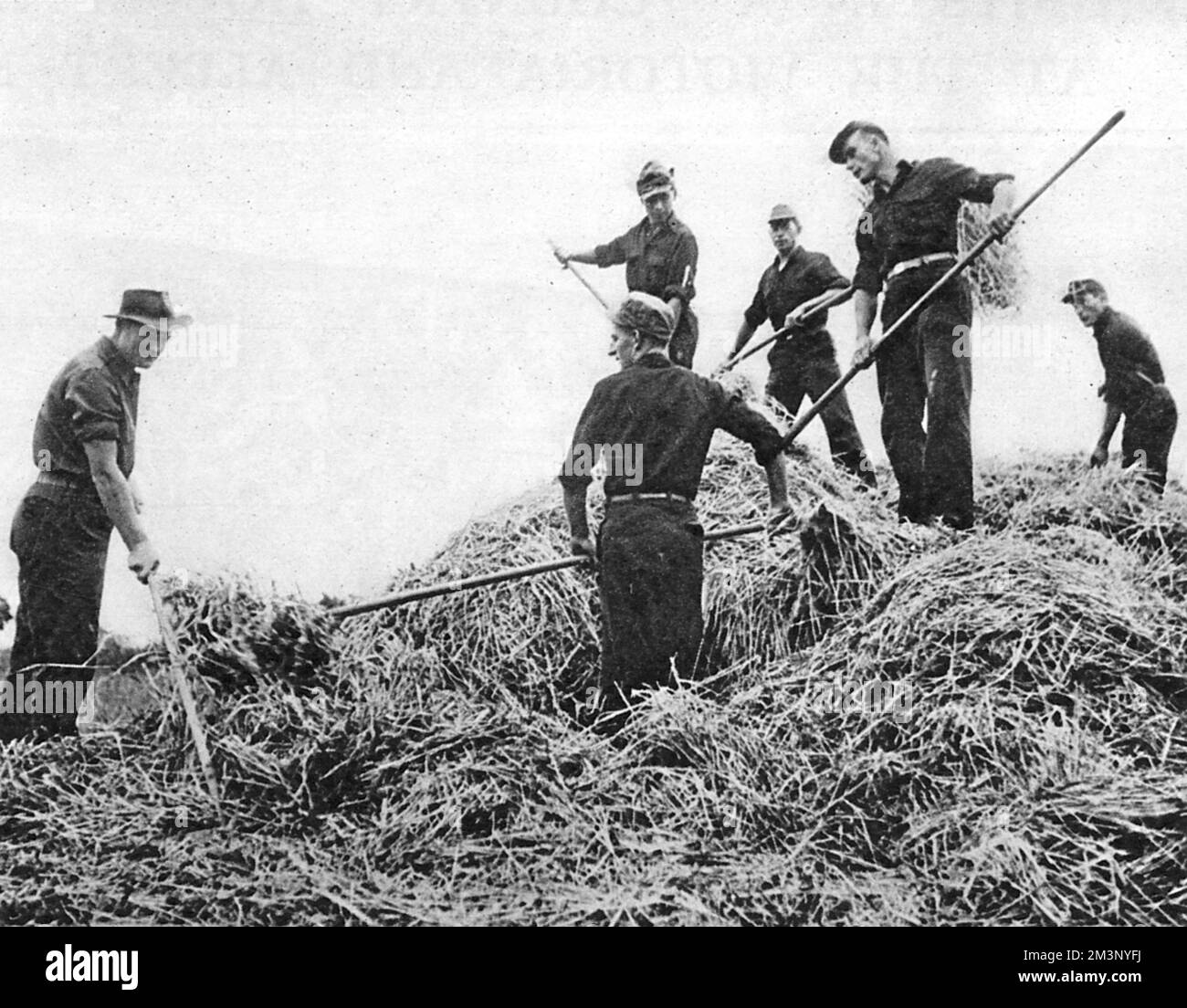German prisoners war work Black and White Stock Photos & Images - Alamy