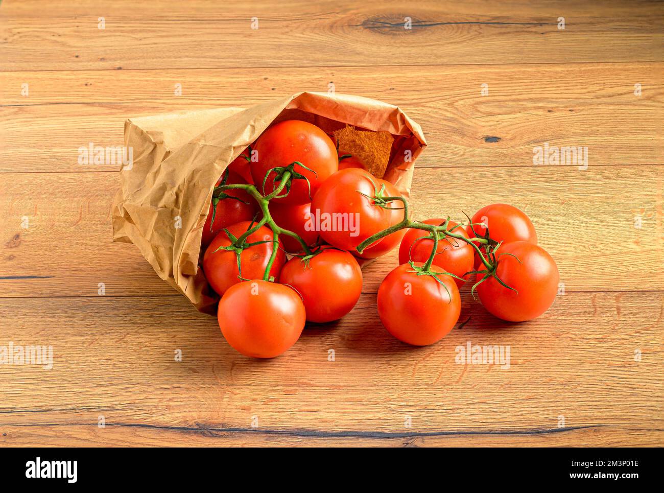 A closeup shot of juicy red tomatoes on vines in a paper bag on a ...