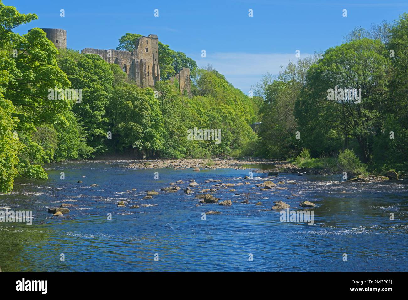 Looking south down the River Tees at Barnard Castle, to the ancient the ...