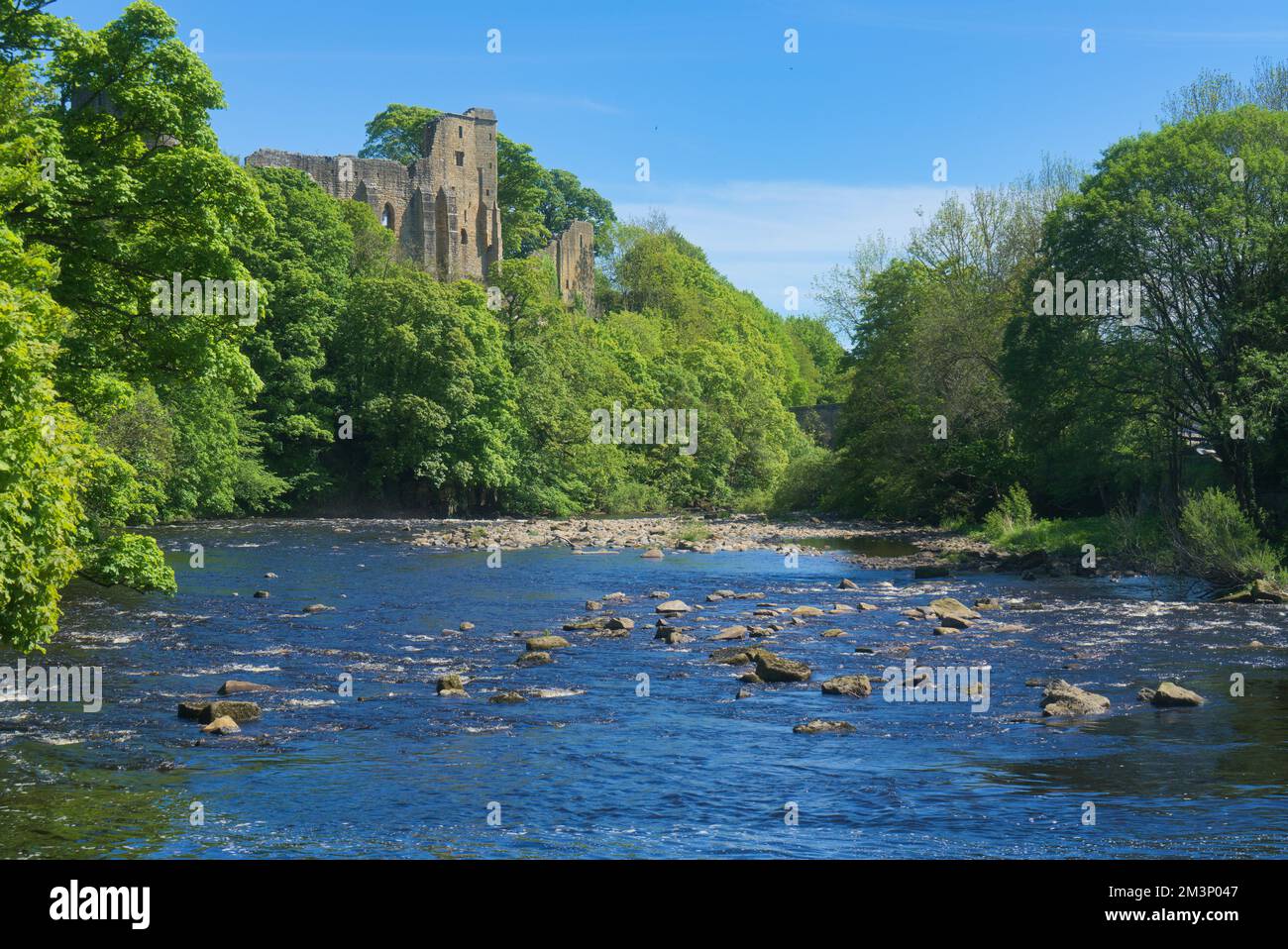 Looking south down the River Tees at Barnard Castle, to the ancient the ...