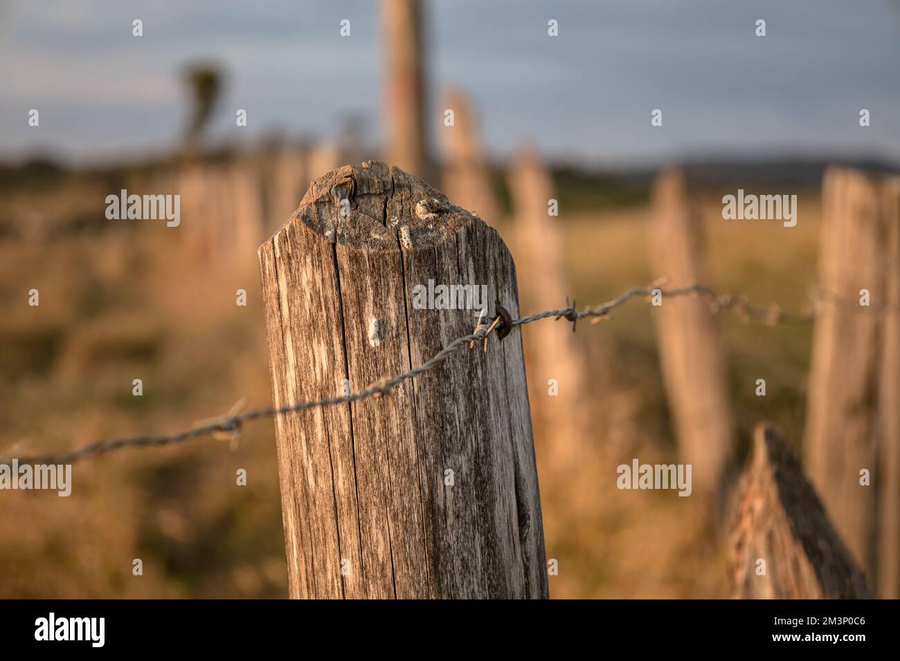 A closeup of an old wooden fence with wires in a field under the ...