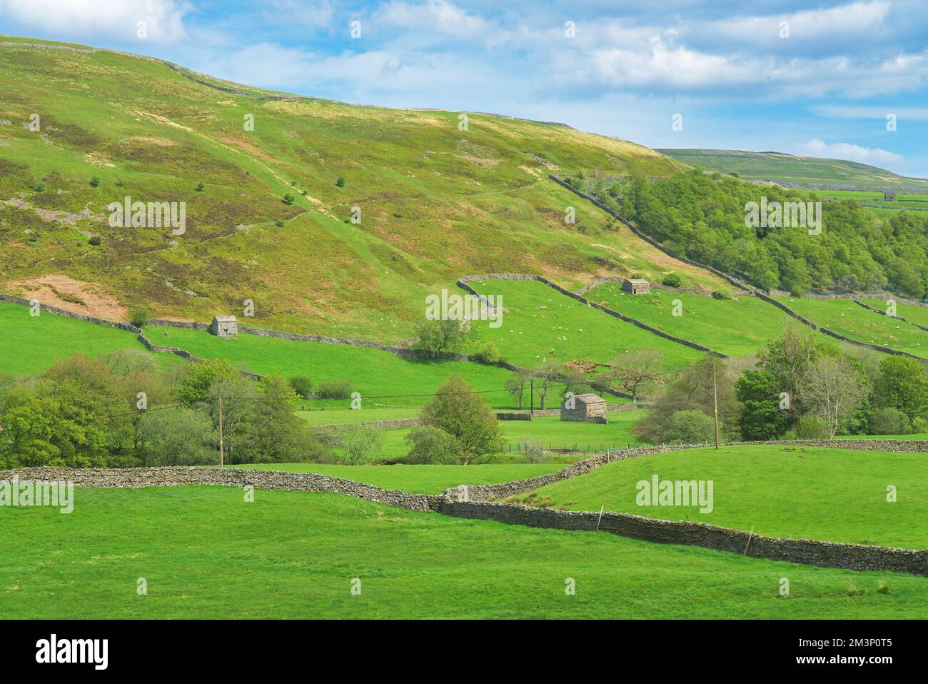 Typical swaledale village hires stock photography and images Alamy