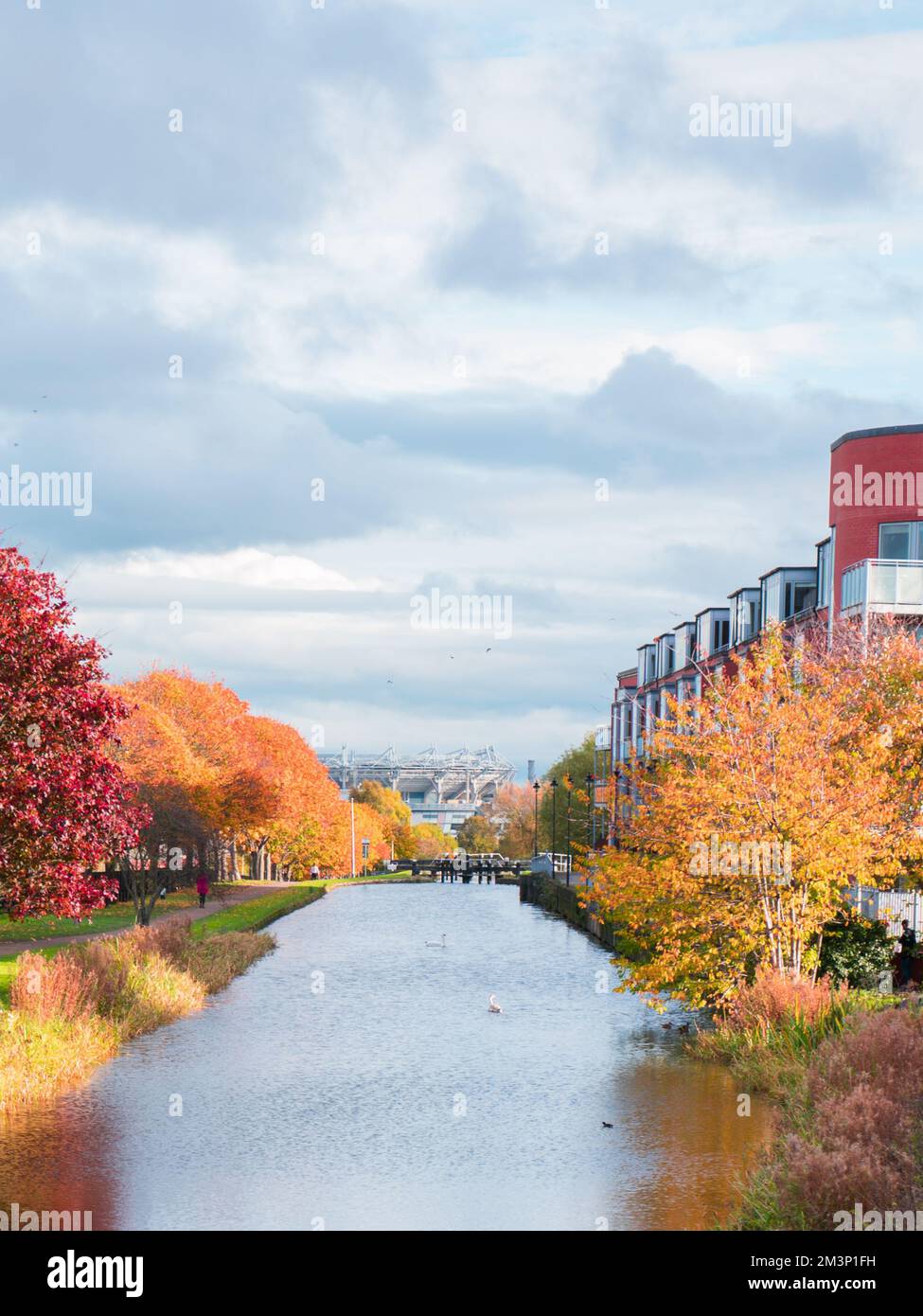 Vertical shot reflection trees hi-res stock photography and images - Alamy