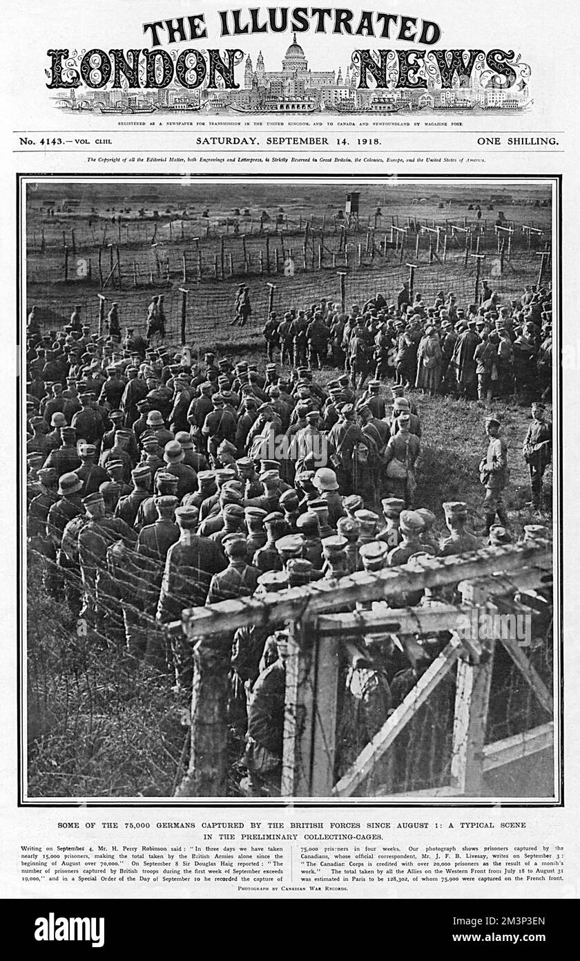 Some of the German prisoners of war captured by the Canadian forces in August 1918: a typical scene in the preliminary collecting cages. The total taken by all the Allied forces on the Western Front from 18th July to 31st August was estimated to be over 128000, of whom 75000 were captured on the French front.     Date: August 1918 Stock Photo