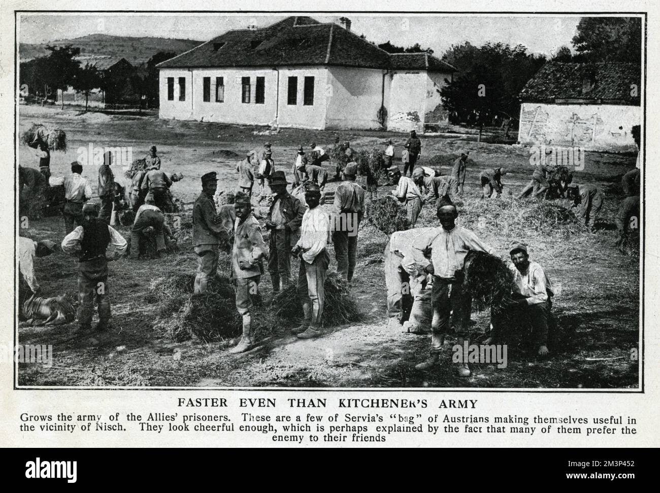 Austrian prisoners of war at work in a field in Nis (or Nish, or Nisch), Serbia, in the early stages of the First World War.       Date: September 1914 Stock Photo