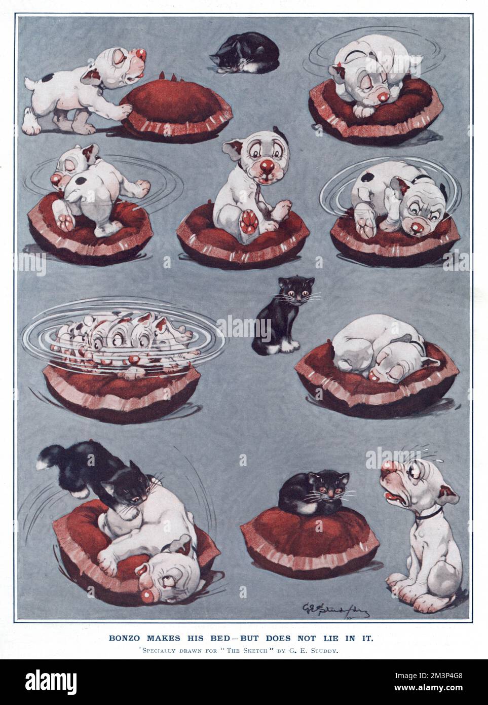 Bonzo makes his bed ... by George Studdy Stock Photo