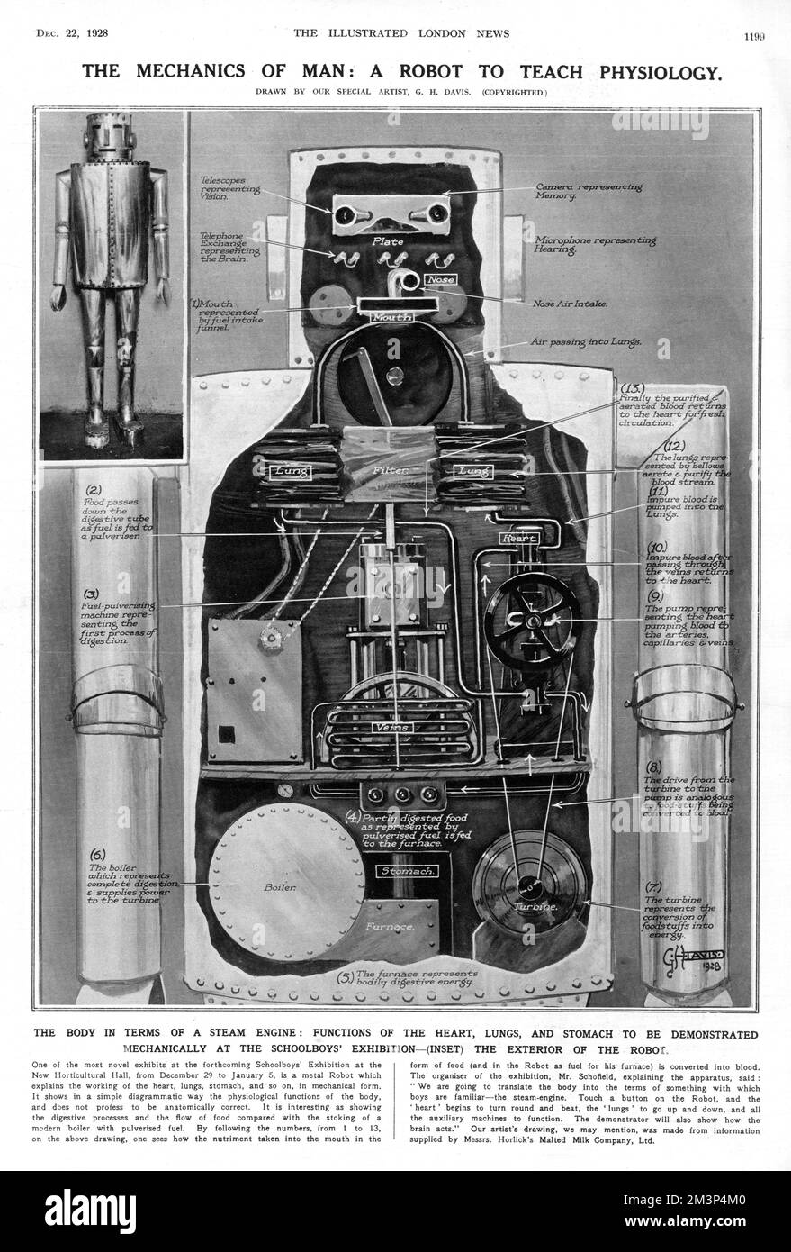 One of the novel exhibits on display at the Schoolboys' Exhibition at the New Horticultural Hall, London in the Winter of 1928-9; a metal robot which explained the workings of the heart, lungs, stomach etc in mechanical form.  The organiser of the exhibition, Mr Schofield, explained the apparatus saying, 'We are going to translate the body into the terms of something with which boys are familiar - the steam-engine.' Touch a button on the Robot and the 'heart' begins to beat, the 'lungs' go up and down, and all the auxiliary machines function.  The robot was part of a display by Horlick's Malte Stock Photo