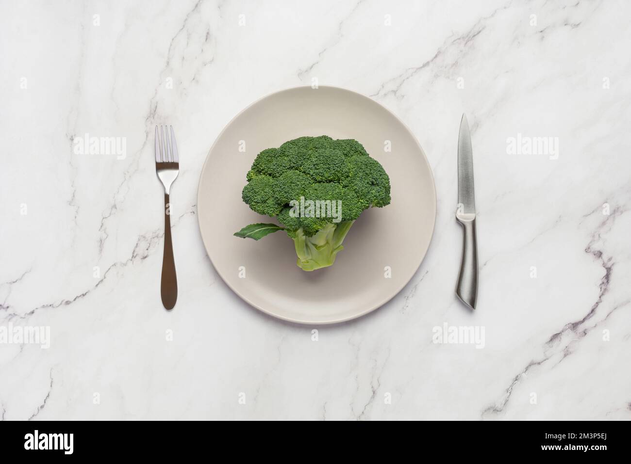 Broccoli in a gray plate on a gray background Stock Photo