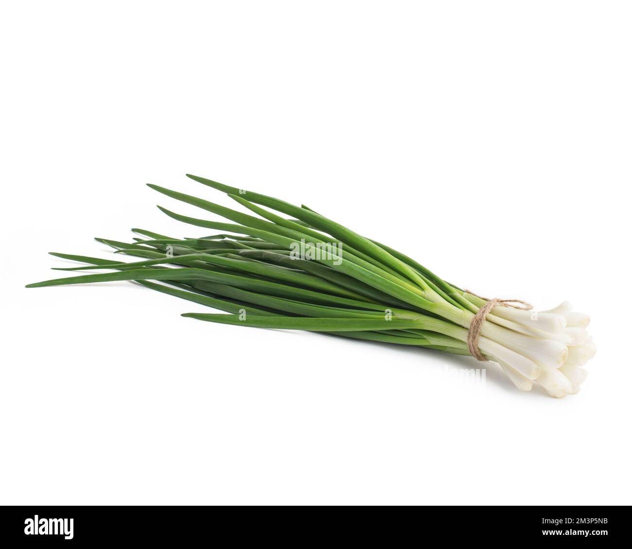 bunch of young green onions isolated on white background Stock Photo ...