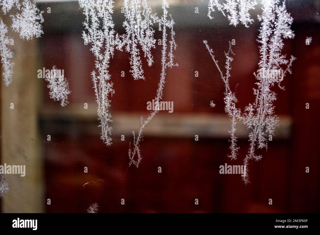 frost on window Stock Photo Alamy
