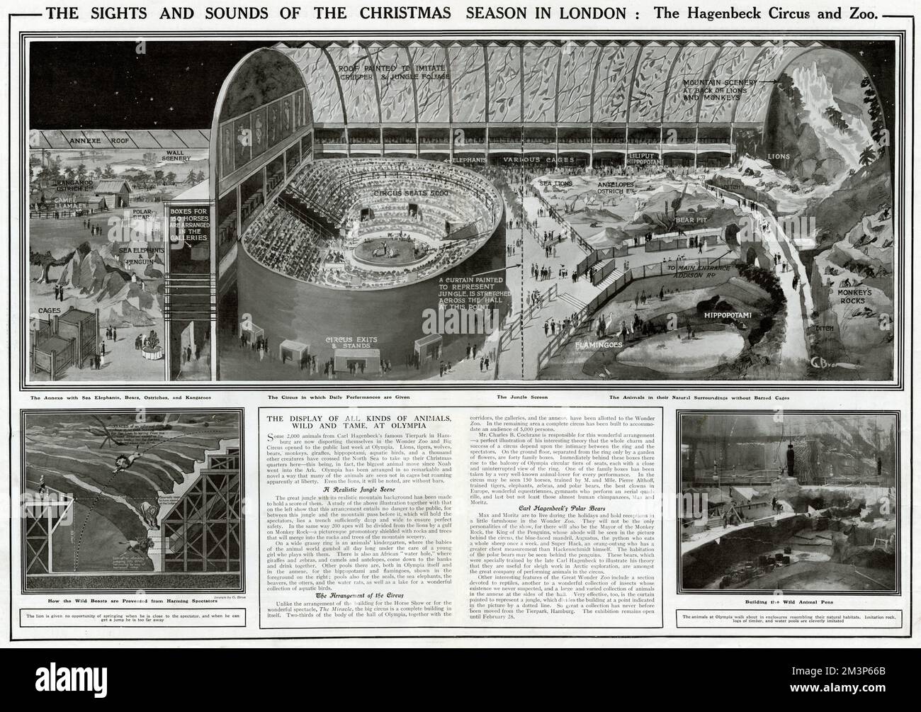 The sights and sounds of the Christmas season at Olympia, London Carl