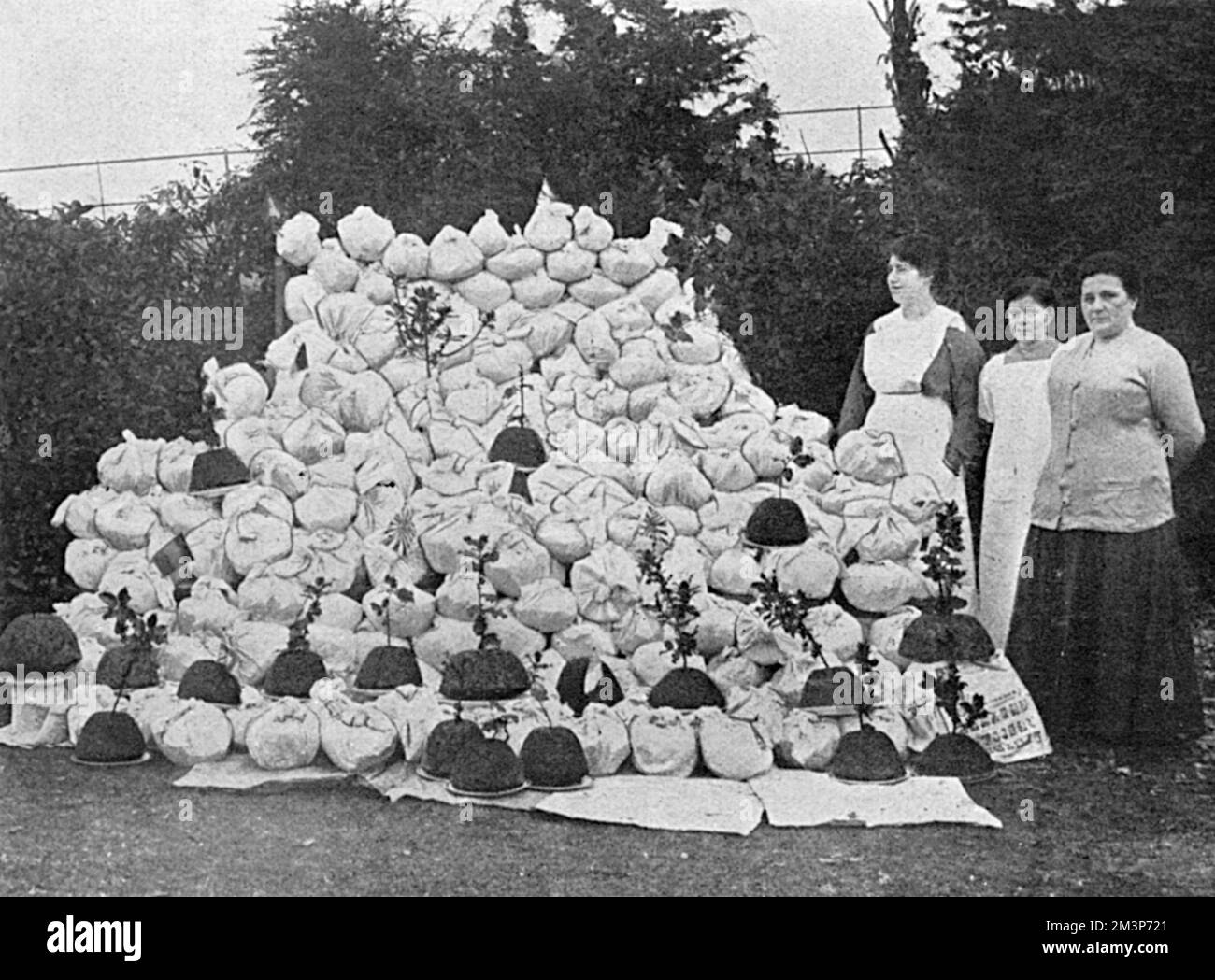 Mrs Buckley of Birmingham, the wife of Captain Frank Buckley of the 17th Middlesex Regiment, with her impressive pile of 420 hand-cooked Christmas puddings for Birmingham soldiers at the front.       Date: 1915 Stock Photo