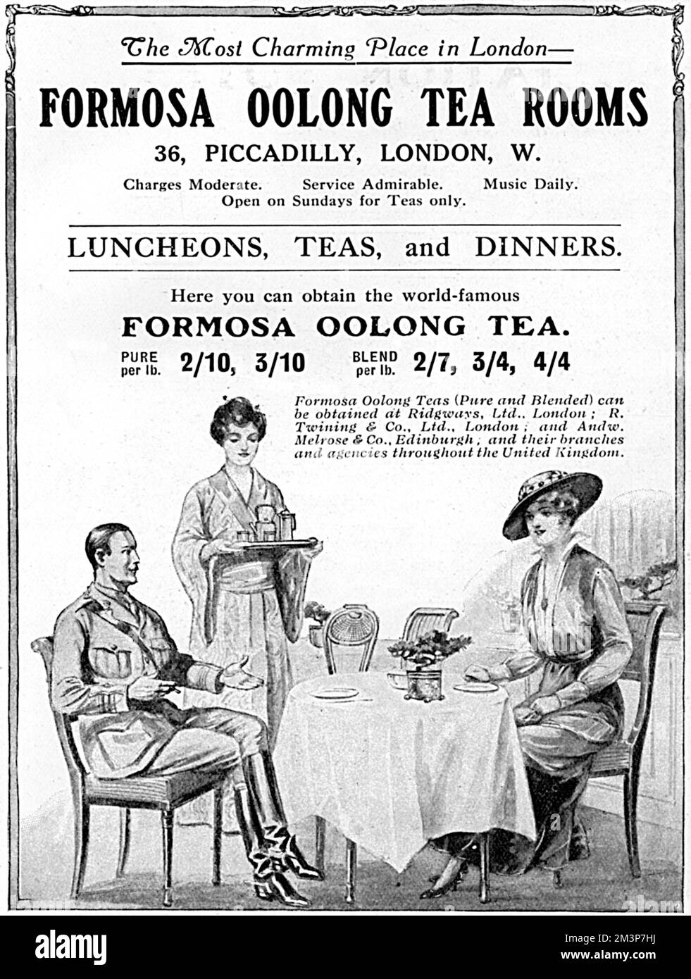 Formosa tea hires stock photography and images Alamy
