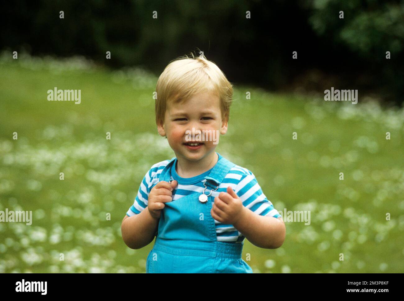 A young Prince William Stock Photo