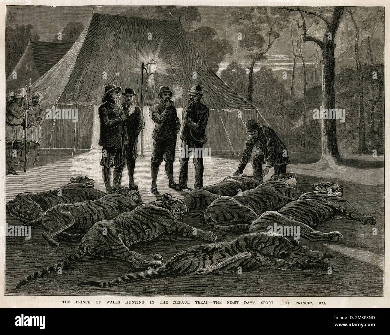 Prince Edward hunting tigers on his first day sport. Date 1876 Stock