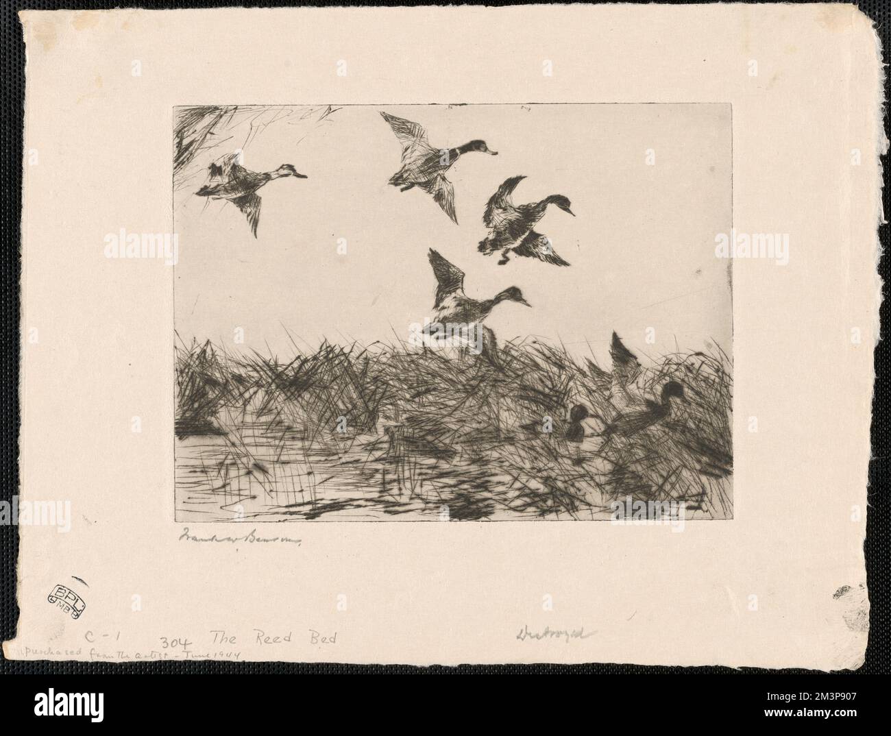 The reed bed , Birds, Flying, Reeds Plants. Frank W. Benson (18621951