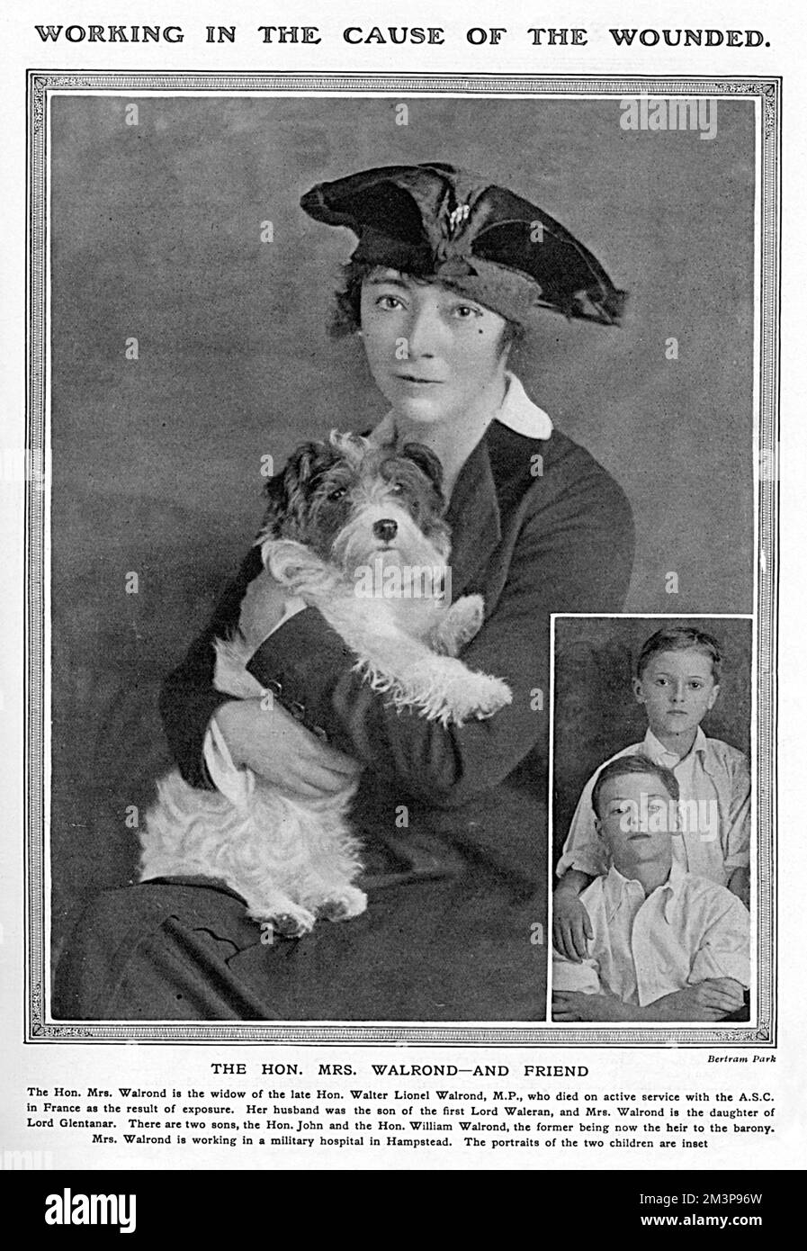 Portrait of the Hon. Mrs Walrond, daughter of Lord Glentanar and widow of the late Hon. Walter Lionel Walrond, M.P. who died on active service with the Army Service Corps in France as a result of exposure. She was working at a military hospital in Hampstead during the war.  Inset photograph shows her two sons, John and William Walrond.     Date: 1917 Stock Photo