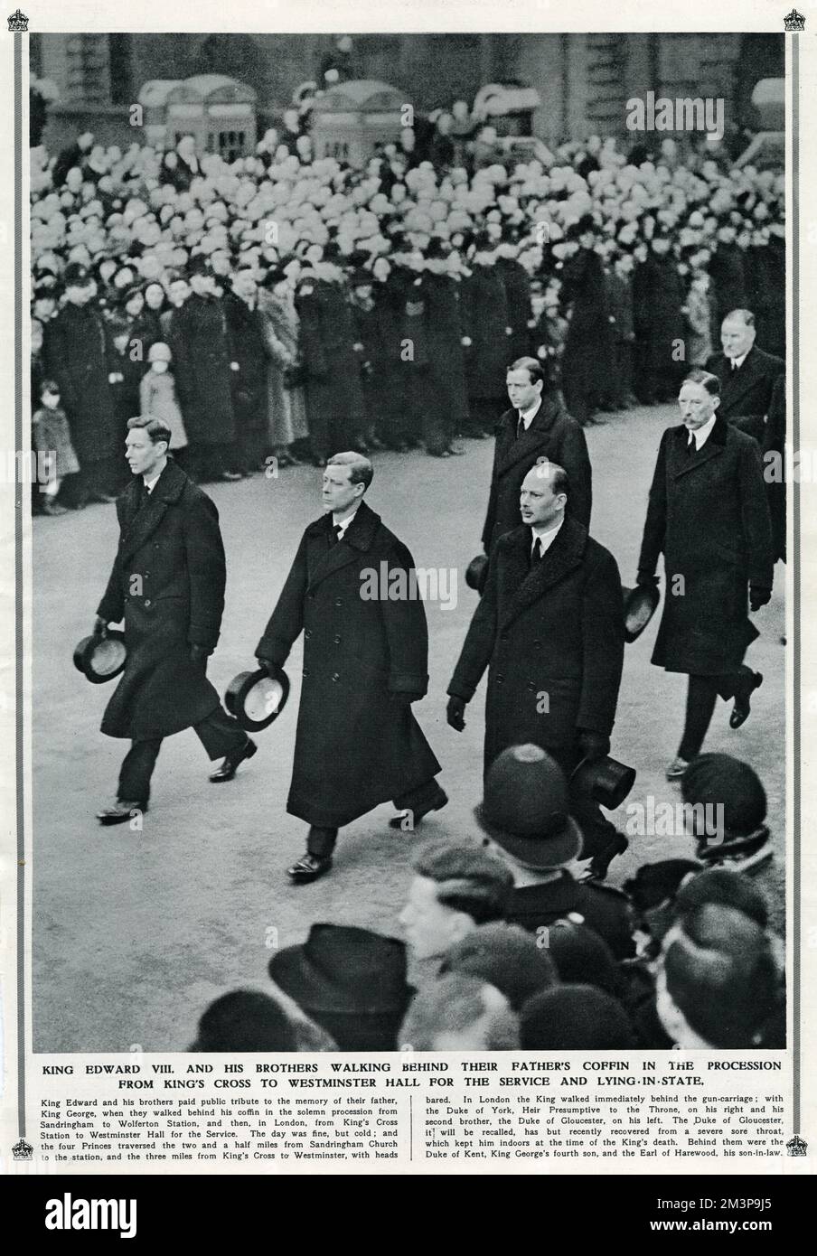 King Edward VIII, later Duke of Windsor, left and his brothers walking slowly down to Euston Road, behind their Father's funeral cortege of the late King George V. Middle the Duke of York (later King George VI) and the Duke of Gloucester right. Behind is the Earl of Harewood, husband of Princess Mary.     Date: 1936 Stock Photo
