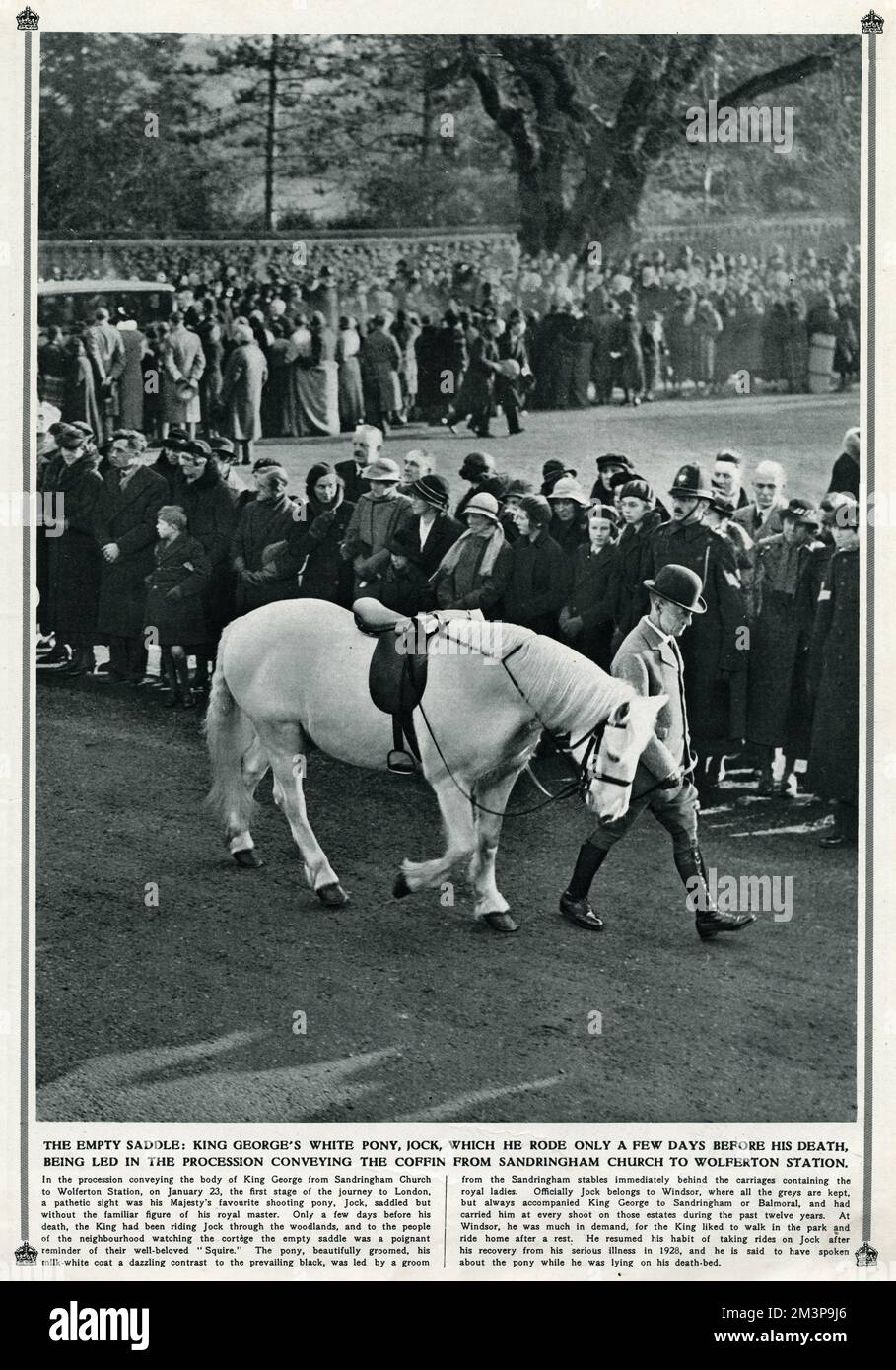 The late King George V's first stage of his journey to London, with his favourite white shooting pony 'Jock', which he rode only a few days before his death being led in procession conveying the coffin from Sandringham Church to Wolferton Station.     Date: 23 January 1936 Stock Photo