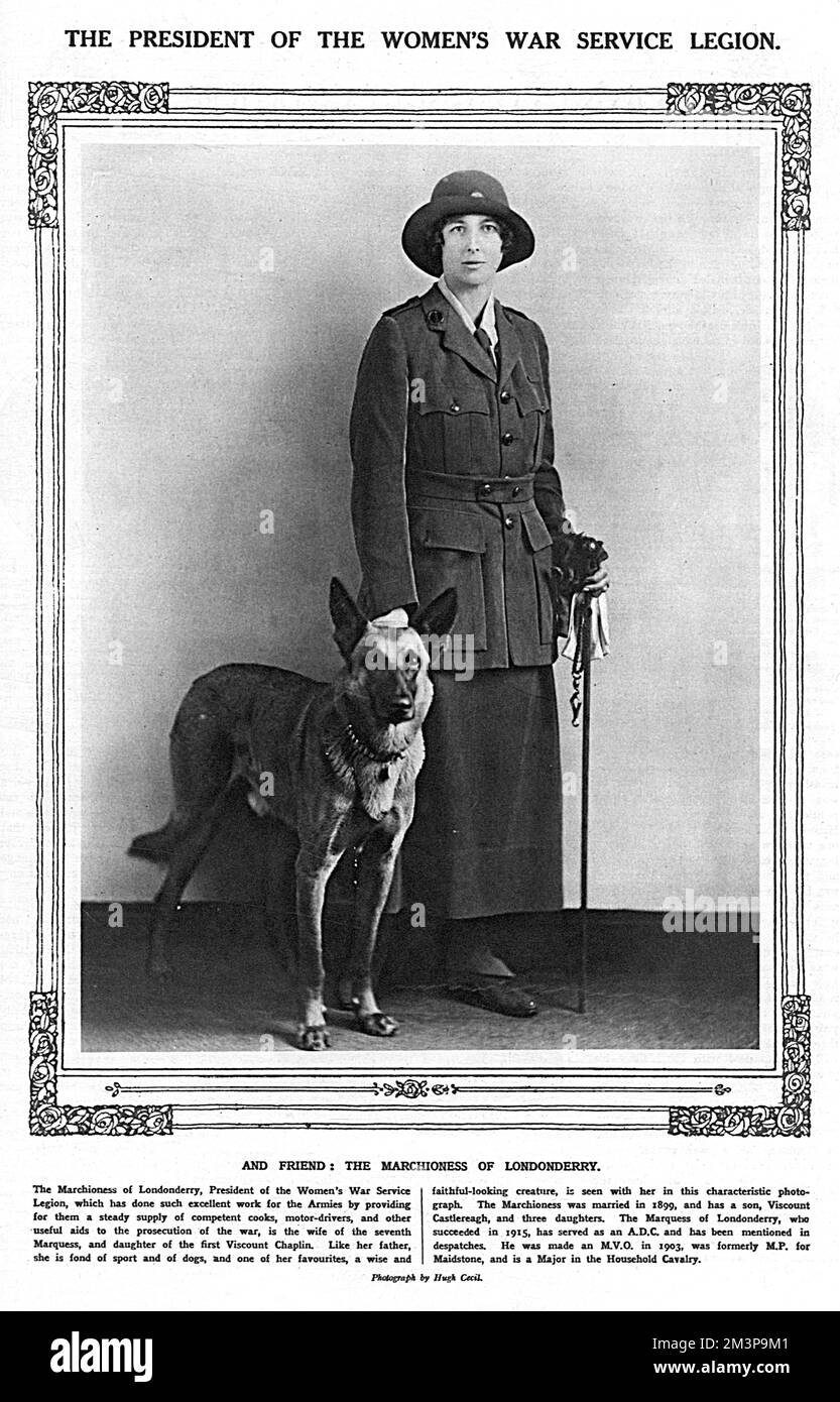 Lady Londonderry, formerly the Hon. Edith Chaplin, pictured in 1918 when she was President of the Women's War Services Legion (previously known as the Women's Legion) which provided military cooks and motor drivers for the War Office. She was awarded the Order of the Dame of the British Empire for her work during the war. The Sketch reports she is fond of sport and of dogs, 'and one of her favourites, a wise and faithful-looking creature, is seen with her in this characteristic photograph.'  She married the Marquess in 1899 and had a son, Viscount Castlereagh, and three daughters.      Date: 1 Stock Photo