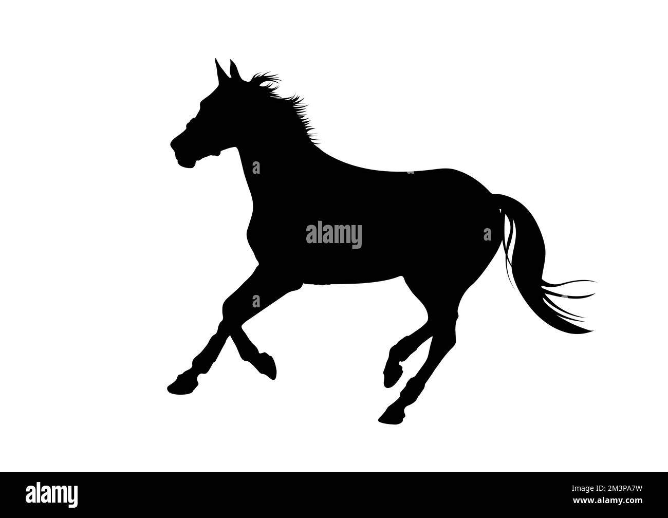 Horse posture hi-res stock photography and images - Alamy