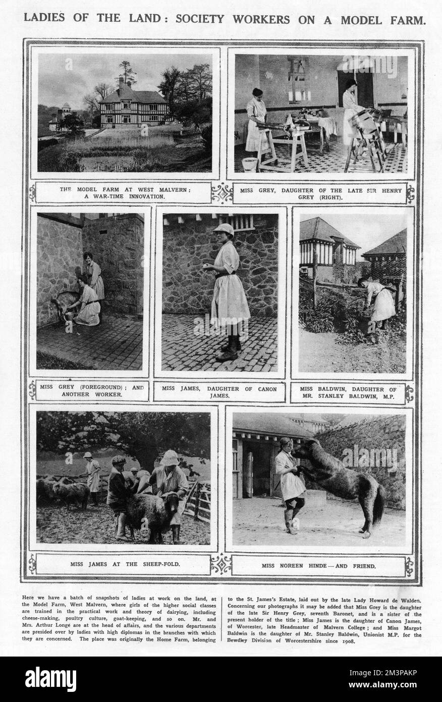 A model farm at West Malvern where 'girls of the higher social classes are trained in the practical work and theory of dairying, including cheese-making, poultry culture, goat-keeping, and so on.'  The farm was run by Mr and Mrs Arthur Longe and among students were Miss Grey, daughter of Sir Henry Grey, seventh Baronet, Miss James, daughter of Canon James of Worcester, late headmaster of Malvern College and Miss Margot Baldwin, daughter of the future Prime Minister, Stanley Baldwin.       Date: 1918 Stock Photo