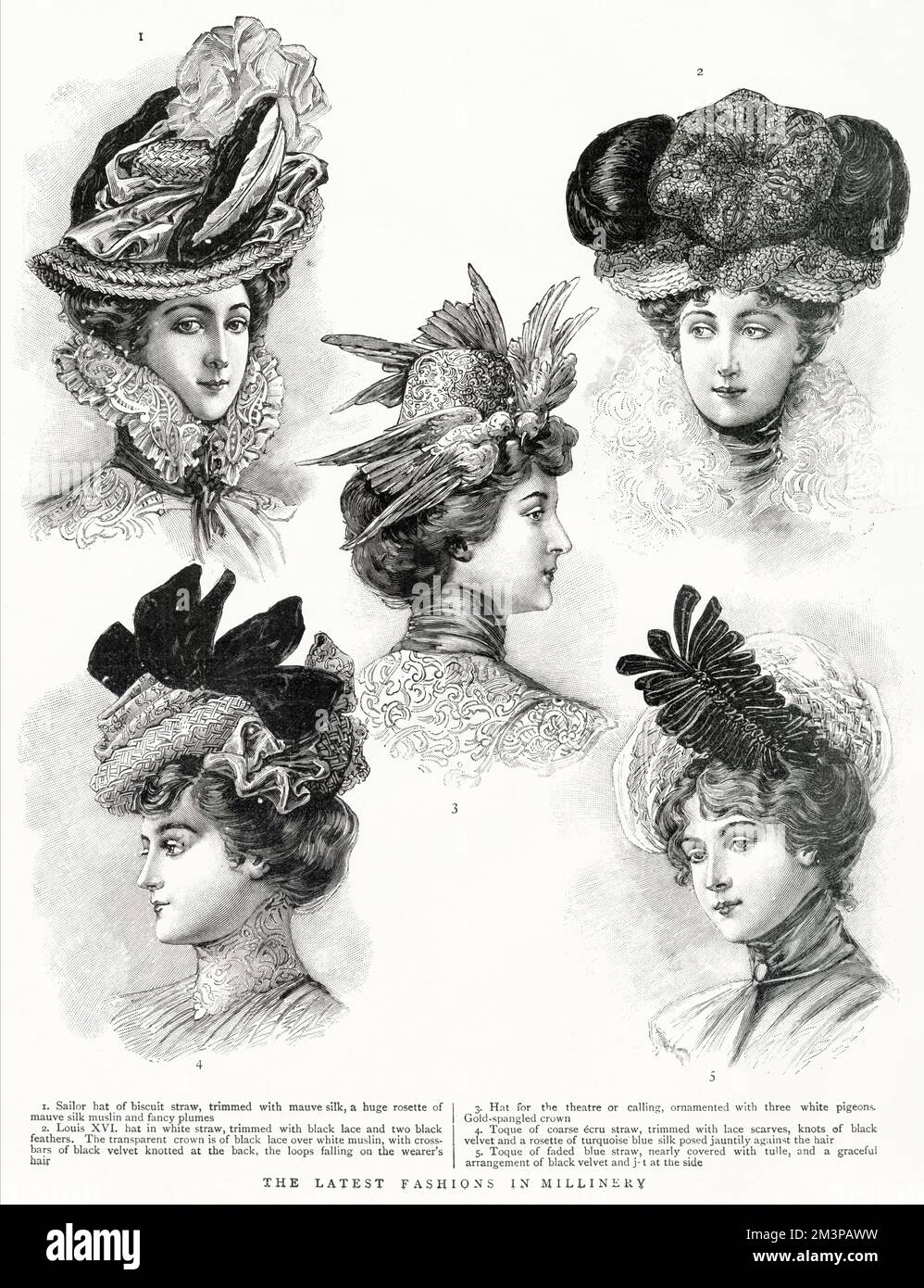 fancy victorian hats