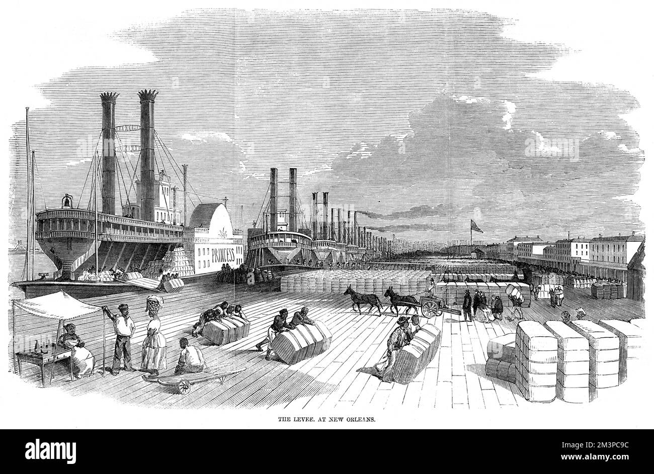 Royal Family Connection Victim Of Tragic New Orleans Attack Slavery new orleans Cut Out Stock Images & Pictures - Alamy