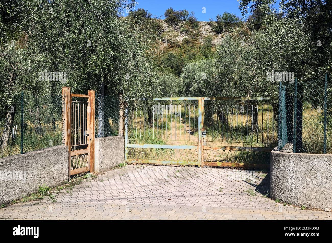 Gate at the entrance of an olive tree grove in summer Stock Photo - Alamy