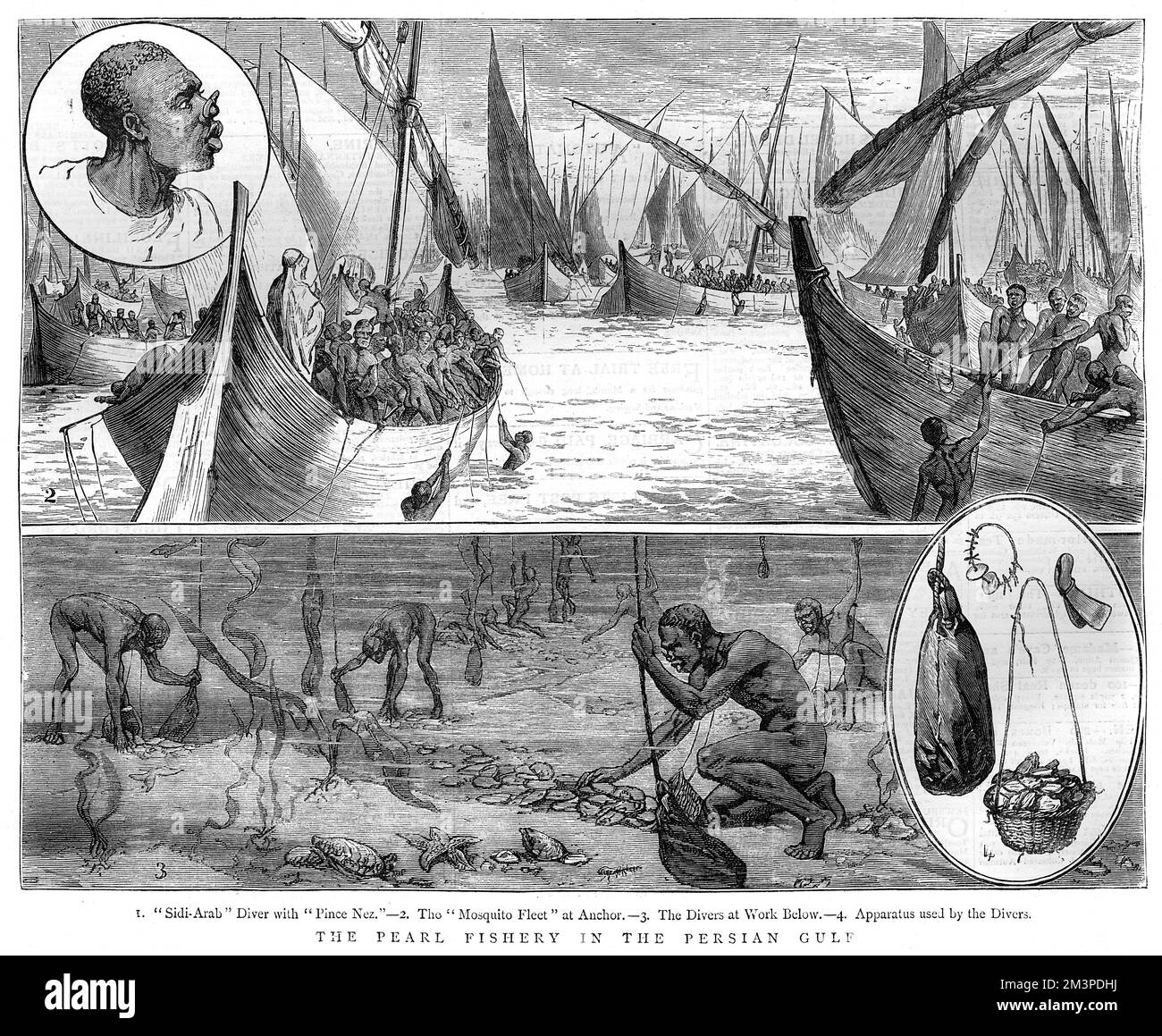 The Pearl Fishery in the Persian Gulf. Sidi-Arab diver with pince-nez. The Mosquito Fleet at anchor. The divers at work below. Apparatus used by the divers.     Date: 1881 Stock Photo