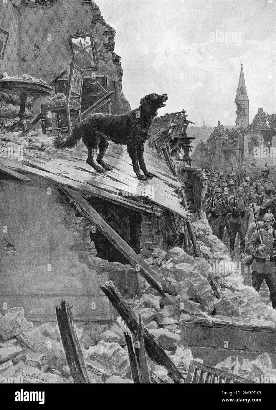 A dog still seeking to defend its former home during the entry of the Germans into Vailly, a small town lying on the Aisne.  Despite the absence of his owners and the wreckage around the dog still howled and kept watch over the few pieces of remaining furniture.     Date: 1915 Stock Photo