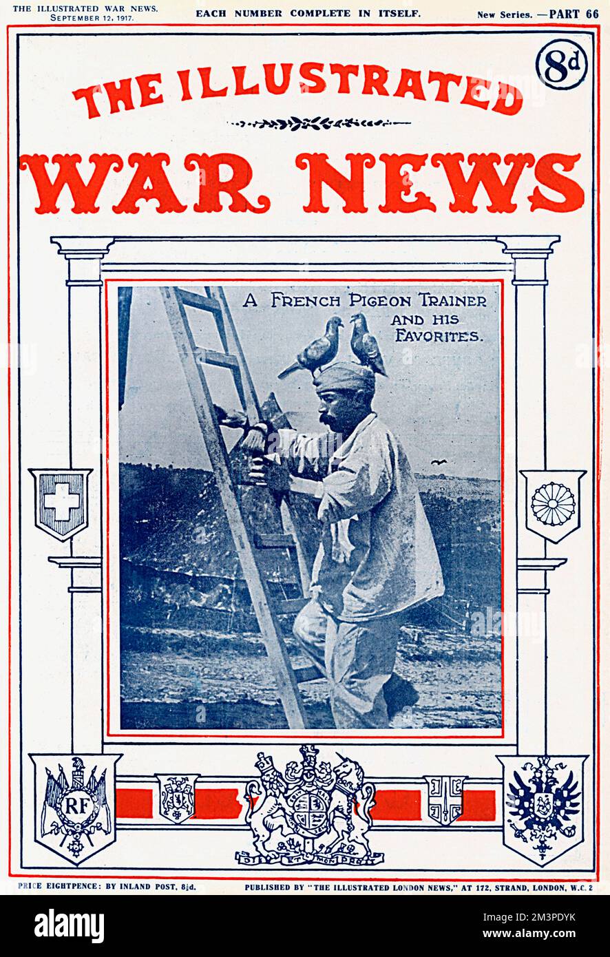 A French pigeon trainer with his avian pupils during the First World