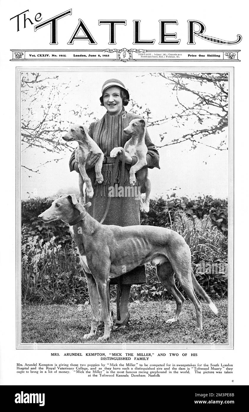 Front cover of the Tatler magazine featuring Mrs Arundel Kempton pictured with the legendary greyhound champion, Mick the Miller and two of his puppies.  She was donating the puppies (whose dam was Toftwood Misery) for a sweepstakes in aid of the South London Hospital and Royal Veterinary College. Greyhound racing enjoyed a new found popularity during the late 1920s and 1930s not just among the working classes but also, &quot;high society&quot; with many society ladies owning greyhounds and inviting their circle for dinner and drinks at the stadiums springing up around the country.     Date: 1 Stock Photo