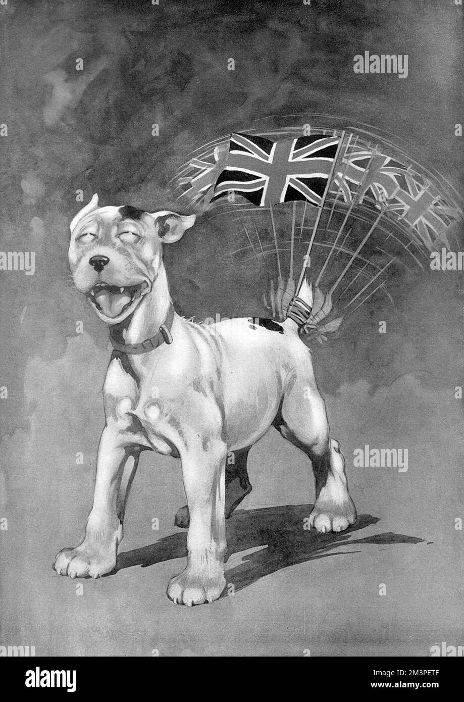 A joyful dog enthusiastically wags his tail, and, in the process, a Union Jack flag, in celebration at the end of the First World War.  The dog, drawn by George Studdy, is a forerunner of Studdy's world-famous canine creation, Bonzo, who emerged in The Sketch magazine in the early 1920s. Prior to that, Studdy drew a number of dog cartoons which were known simply as the 'Studdy Dog'.       Date: 1918 Stock Photo