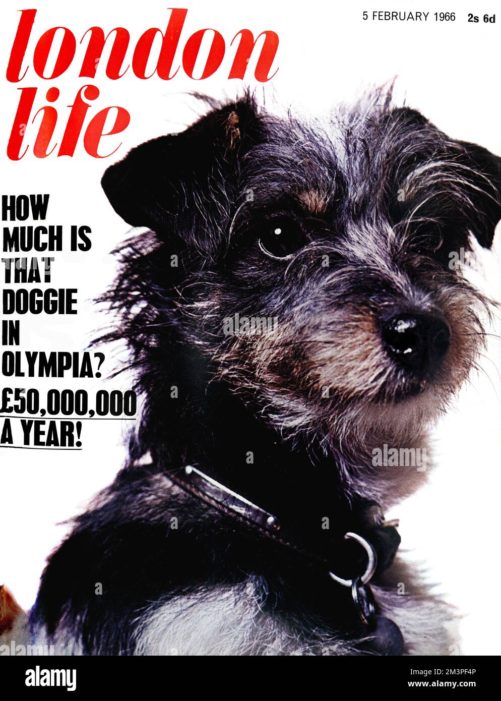 Front cover of London Life magazine, the cool but short-lived magazine which epitomised the spirit of swinging sixties London, featuring one of the nation's 'Topmost Dog'.     Date: 1966 Stock Photo